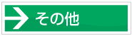 ���̑�